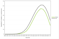 Rates by sex